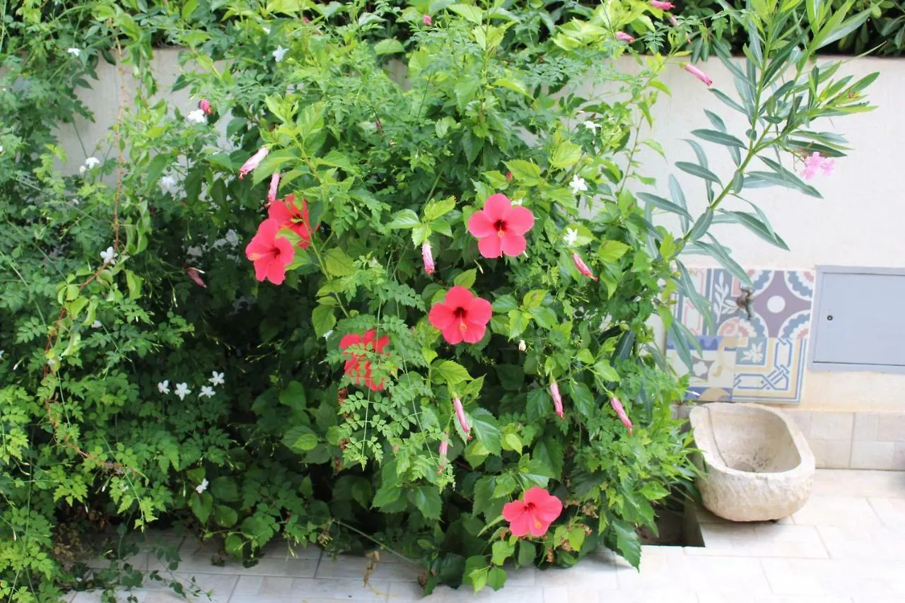 B&B Selene San Vito Lo Capo Bed & Breakfast